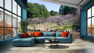 美しい春空模様に映える梅の木と池　パノラマ風景
A panoramic view of plum trees and a pond that shines against the beautiful spring sky
日本(春)
Japan (spring)
九州・熊本県玉名市
Tamana City, Kumamoto Prefecture, Kyushu
桜ヶ池女池［蓮華院誕生寺奥之院］ Wall mural